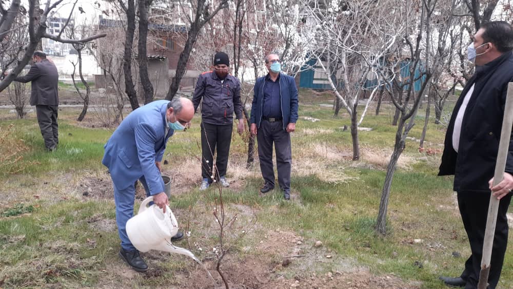 کاشت نهال به مناسبت روز درختکاری در اداره کل هواشناسی استان تهران